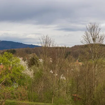 Διαμέρισμα 2 Mit 2 Balkons In Suedbaden Hertingen Golf, Bike Und Weinprobe *