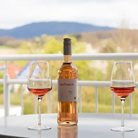 2 Mit 2 Balkons In Suedbaden Hertingen Golf, Bike Und Weinprobe Apartamento *